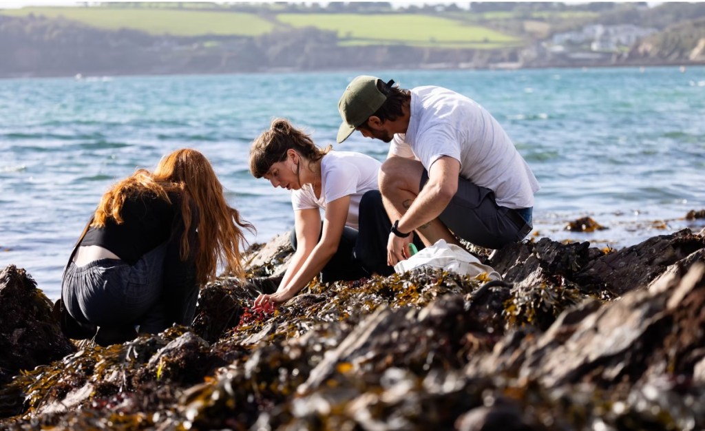 Seaweed Pressing Workshop
