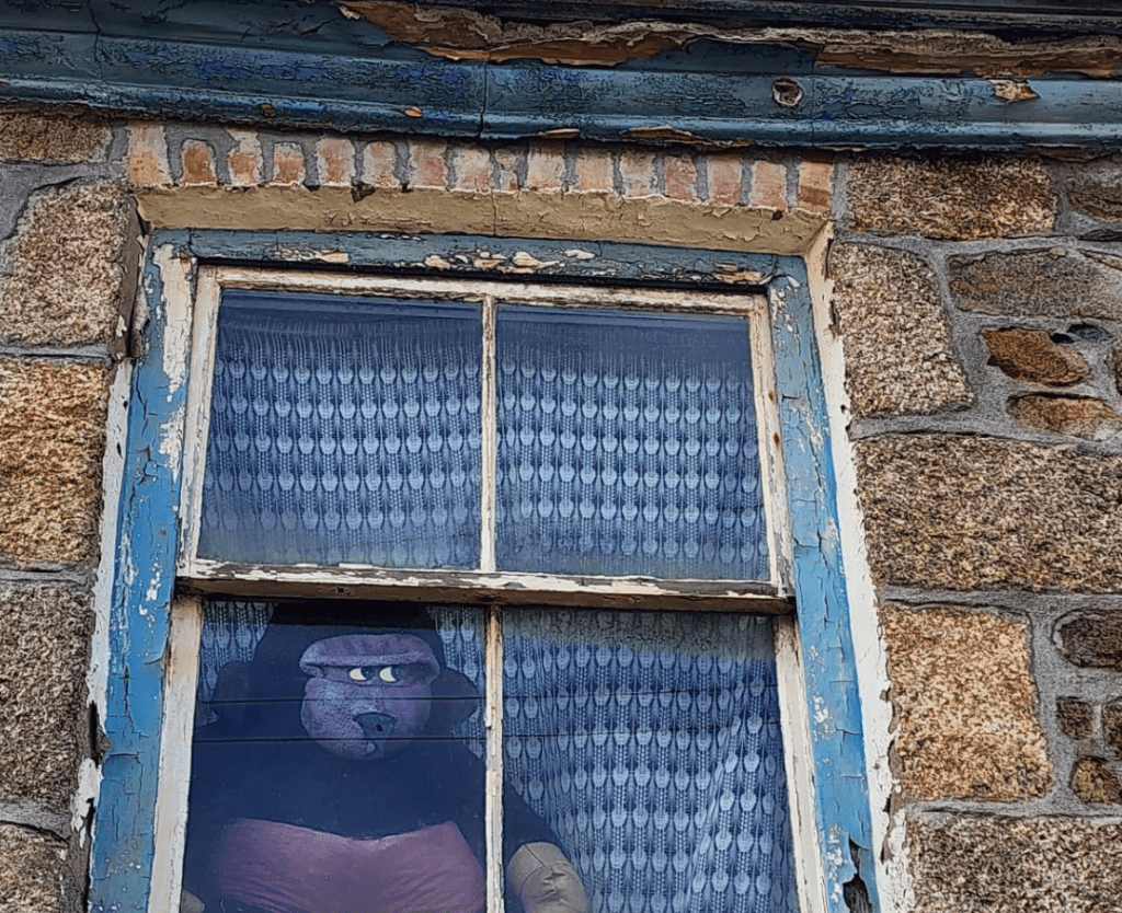 Active Looking Photography&nbsp;meetup